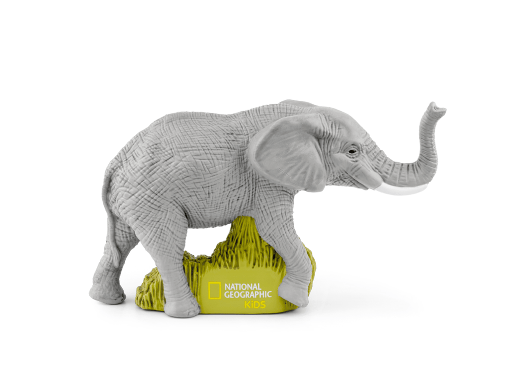 Age 7-8 National Geographic Toniebox 2 Set